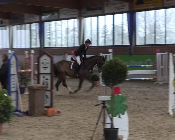 Hallen Springturnier Heiden 2017