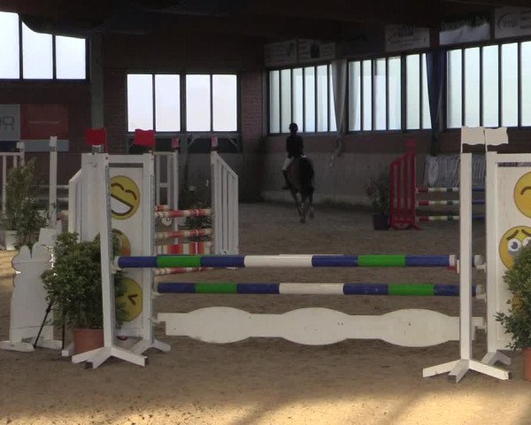 Hallen Springturnier Heiden 2017