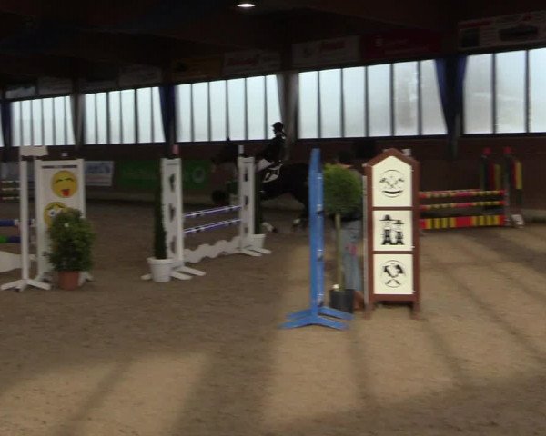 Hallen Springturnier Heiden 2017