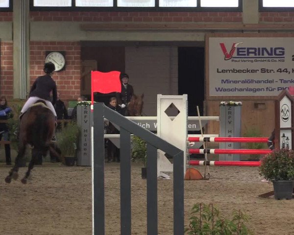 Hallen Springturnier Heiden 2017
