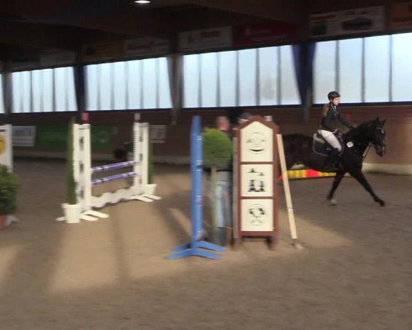 Hallen Springturnier Heiden 2017