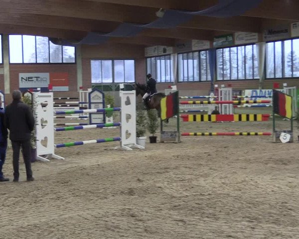 Hallen Springturnier Heiden 2017