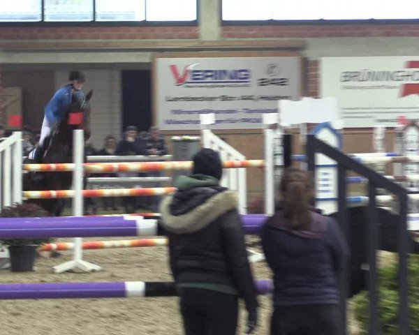 Hallen Springturnier Heiden 2017
