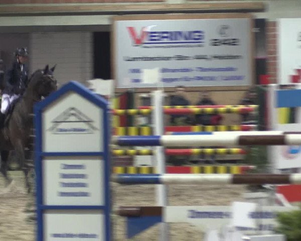 Hallen Springturnier Heiden 2017