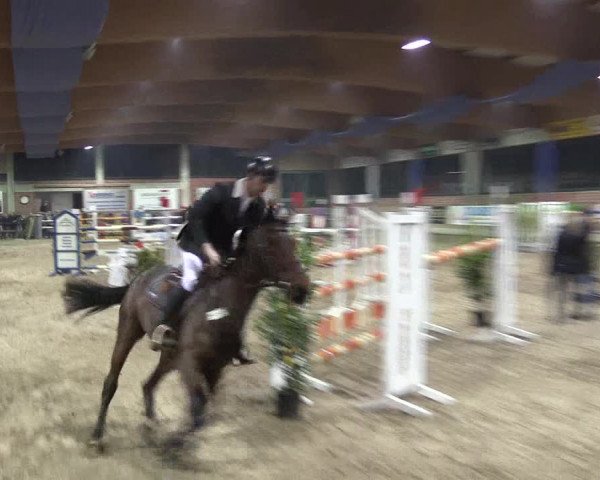 Hallen Springturnier Heiden 2017