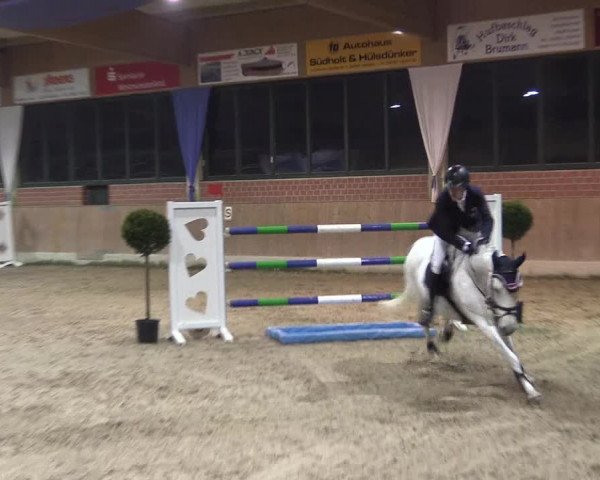 Hallen Springturnier Heiden 2017
