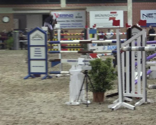 Hallen Springturnier Heiden 2017