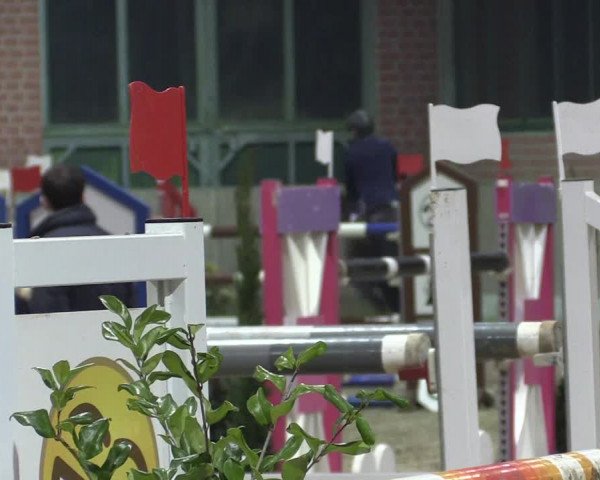 Hallen Springturnier Heiden 2017