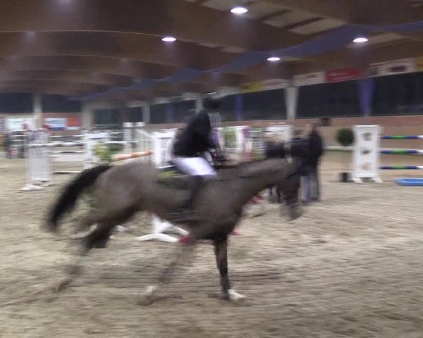 Hallen Springturnier Heiden 2017