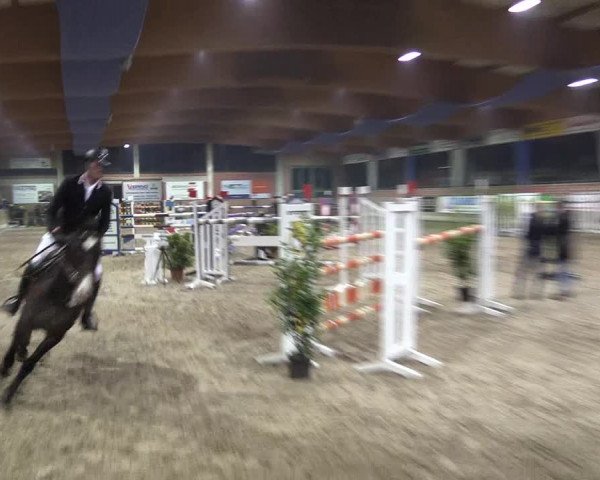 Hallen Springturnier Heiden 2017