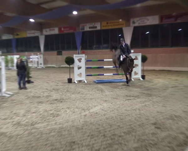 Hallen Springturnier Heiden 2017