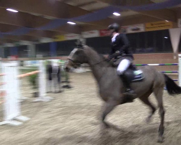 Hallen Springturnier Heiden 2017