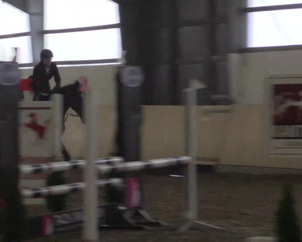 Spring Late-Entry Datteln 2017