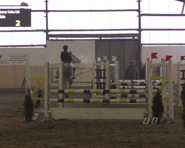 Spring Late-Entry Datteln 2017