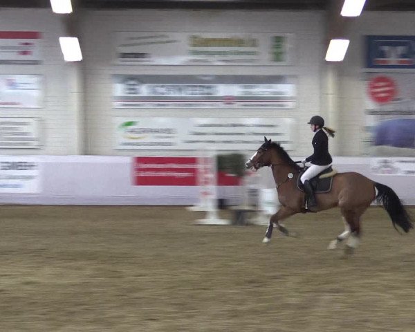 Frühjahrsturnier Borken 2017