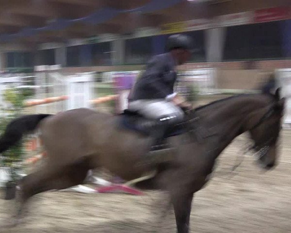 Hallen Springturnier Heiden 2017