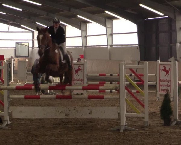 Spring Late-Entry Datteln 2017