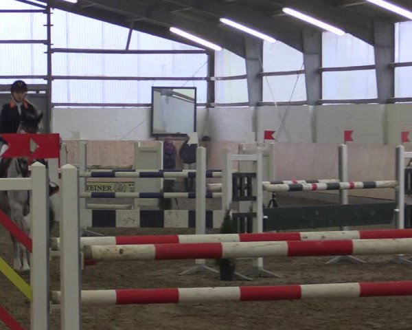 Spring Late-Entry Datteln 2017