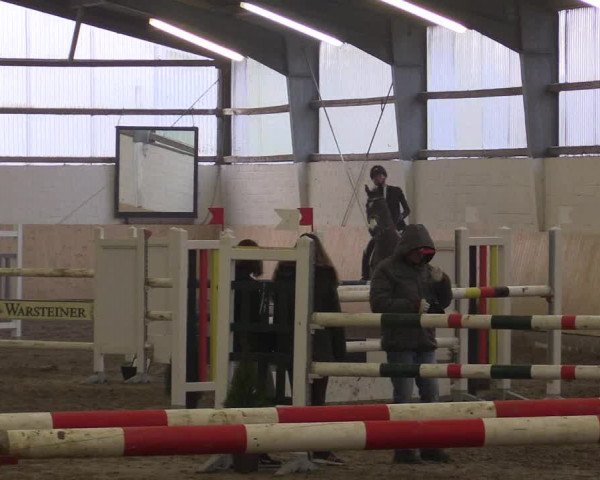 Spring Late-Entry Datteln 2017