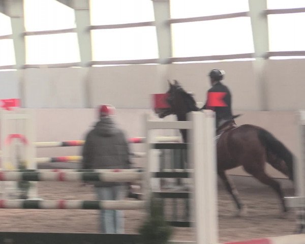 Spring Late-Entry Datteln 2017