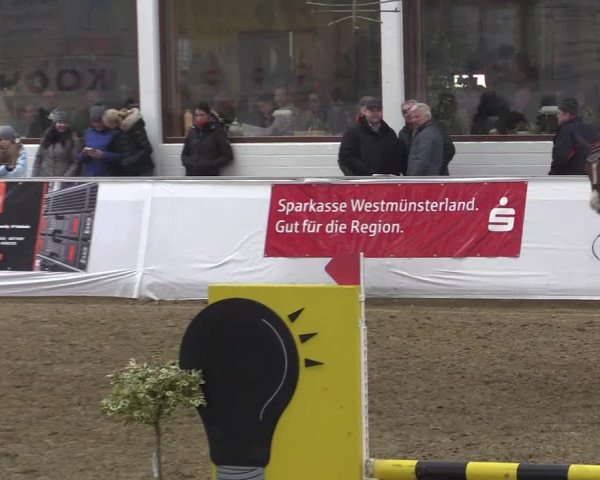 Frühjahrsturnier Borken 2017