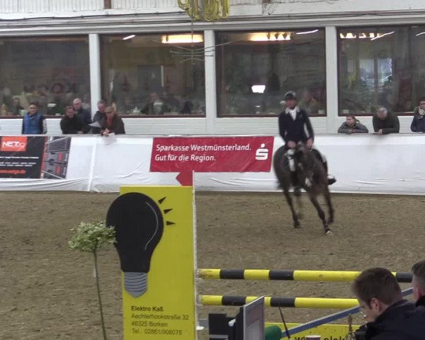 Frühjahrsturnier Borken 2017