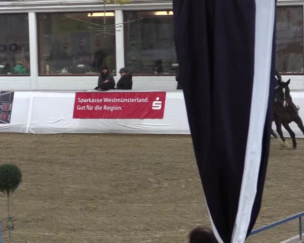 Frühjahrsturnier Borken 2017