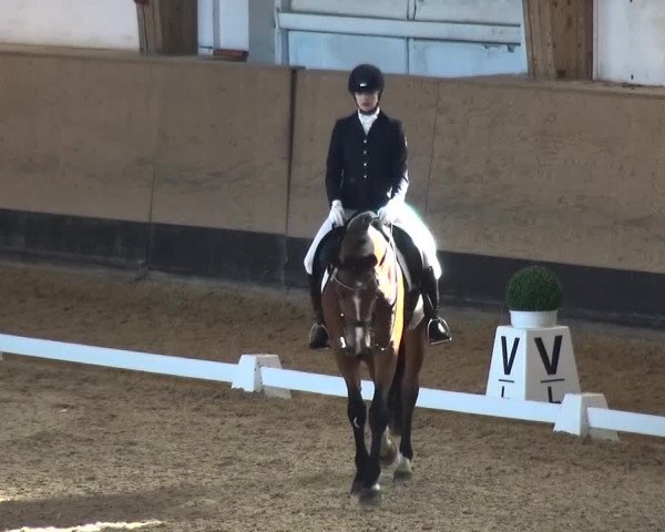 Reitturnier München-Riem 2017