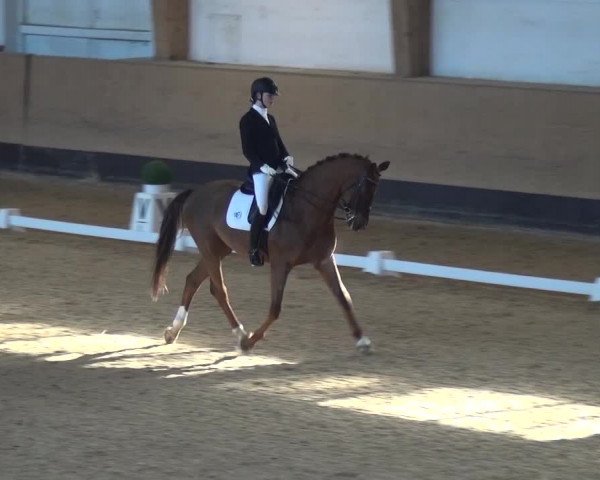 Reitturnier München-Riem 2017