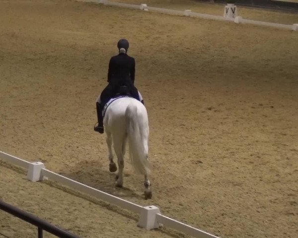 Reitturnier München-Riem 2017