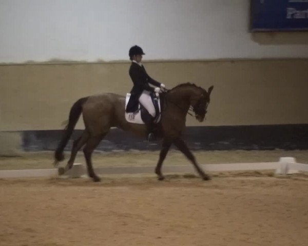 Reitturnier München-Riem 2017