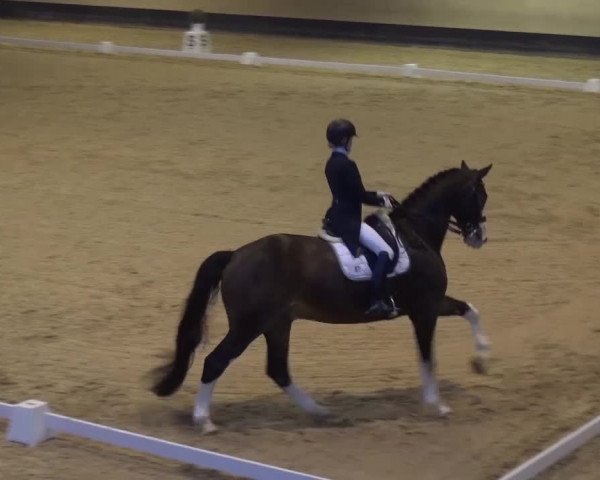 Reitturnier München-Riem 2017
