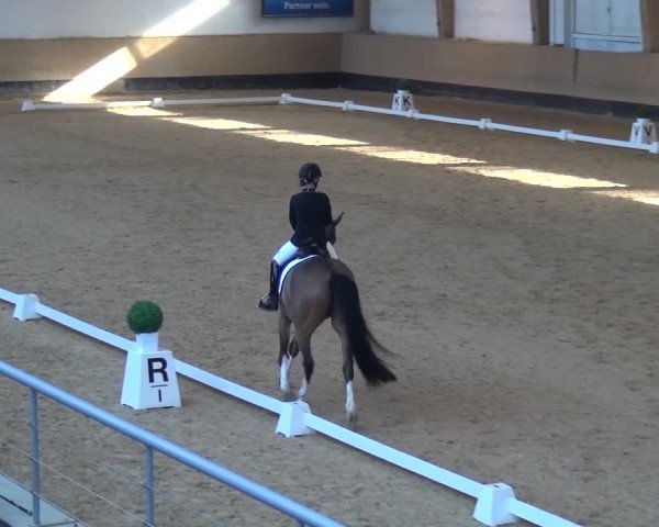Reitturnier München-Riem 2017