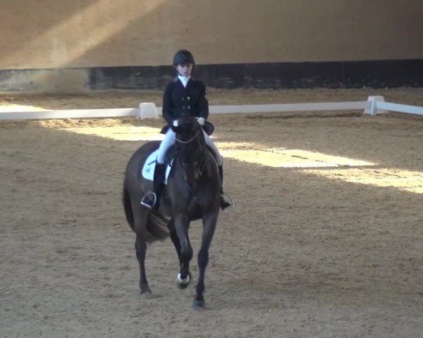 Reitturnier München-Riem 2017