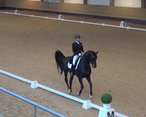 Reitturnier München-Riem 2017