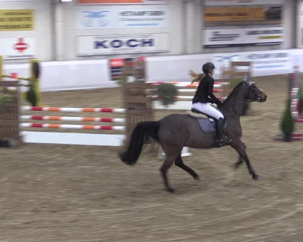 Frühjahrsturnier Borken 2017