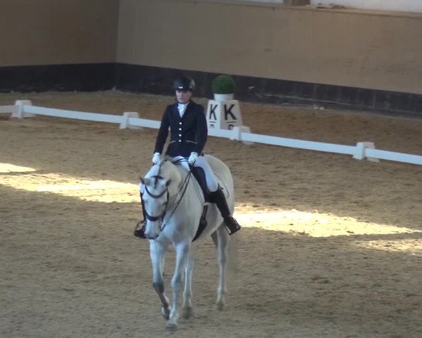Reitturnier München-Riem 2017