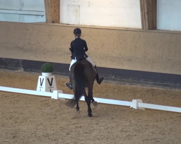Reitturnier München-Riem 2017