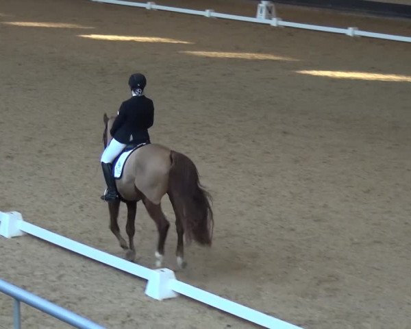 Reitturnier München-Riem 2017