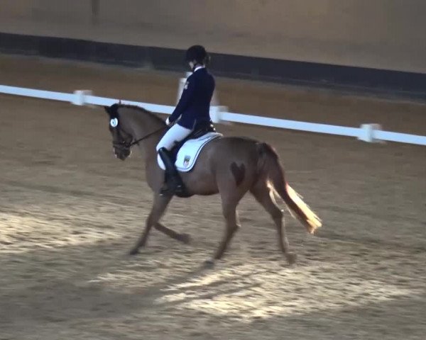 Reitturnier München-Riem 2017
