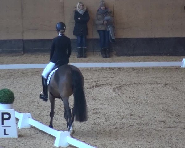 Reitturnier München-Riem 2017