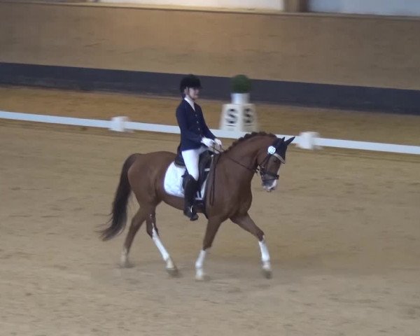 Reitturnier München-Riem 2017