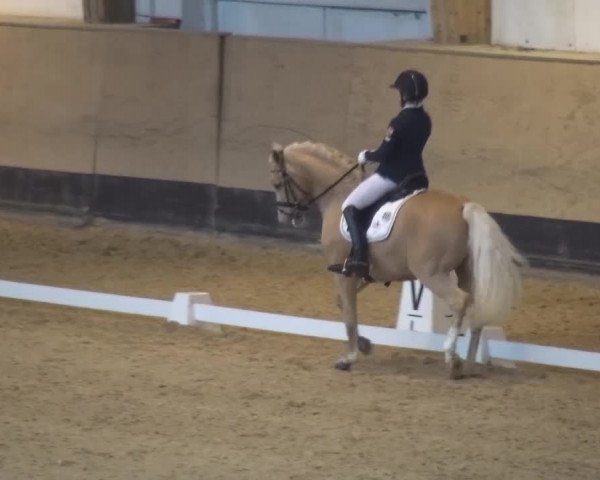 Reitturnier München-Riem 2017