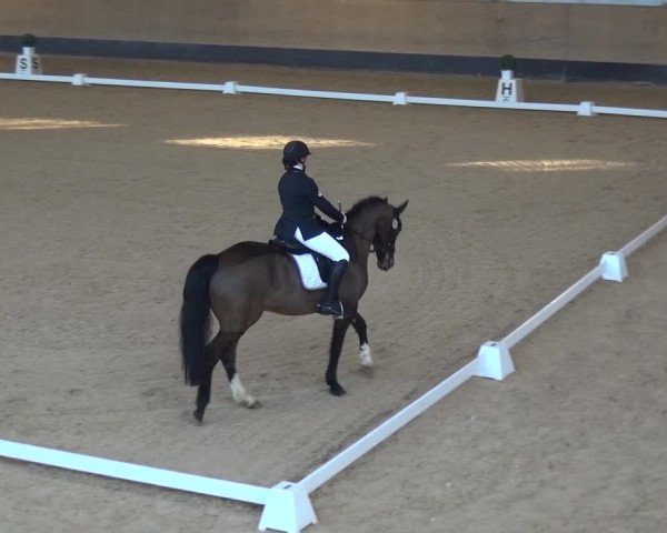 Reitturnier München-Riem 2017