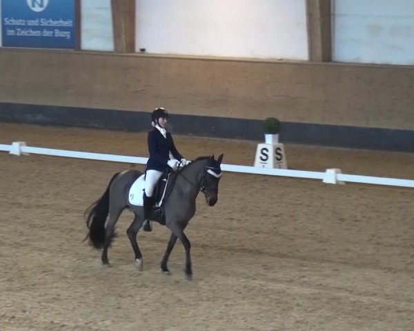 Reitturnier München-Riem 2017