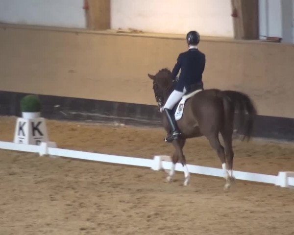 Reitturnier München-Riem 2017
