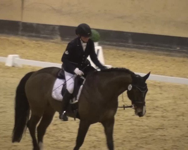 Reitturnier München-Riem 2017
