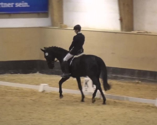 Reitturnier München-Riem 2017