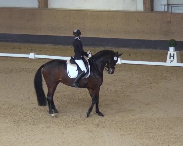Reitturnier München-Riem 2017
