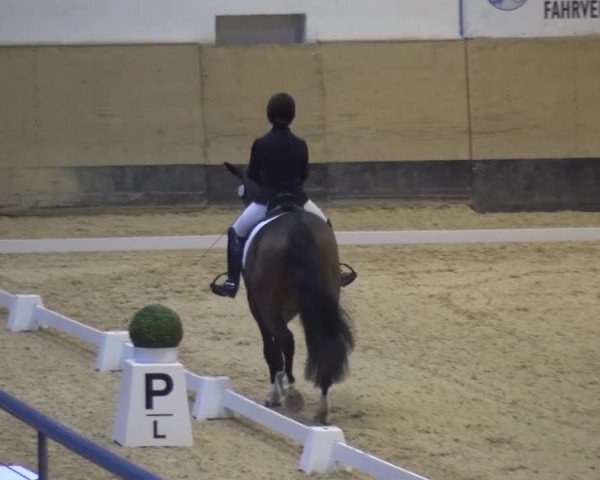 Reitturnier München-Riem 2017